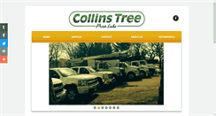 Desktop Screenshot of collinstreecare.com