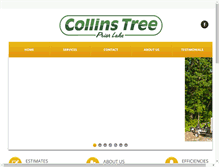 Tablet Screenshot of collinstreecare.com
